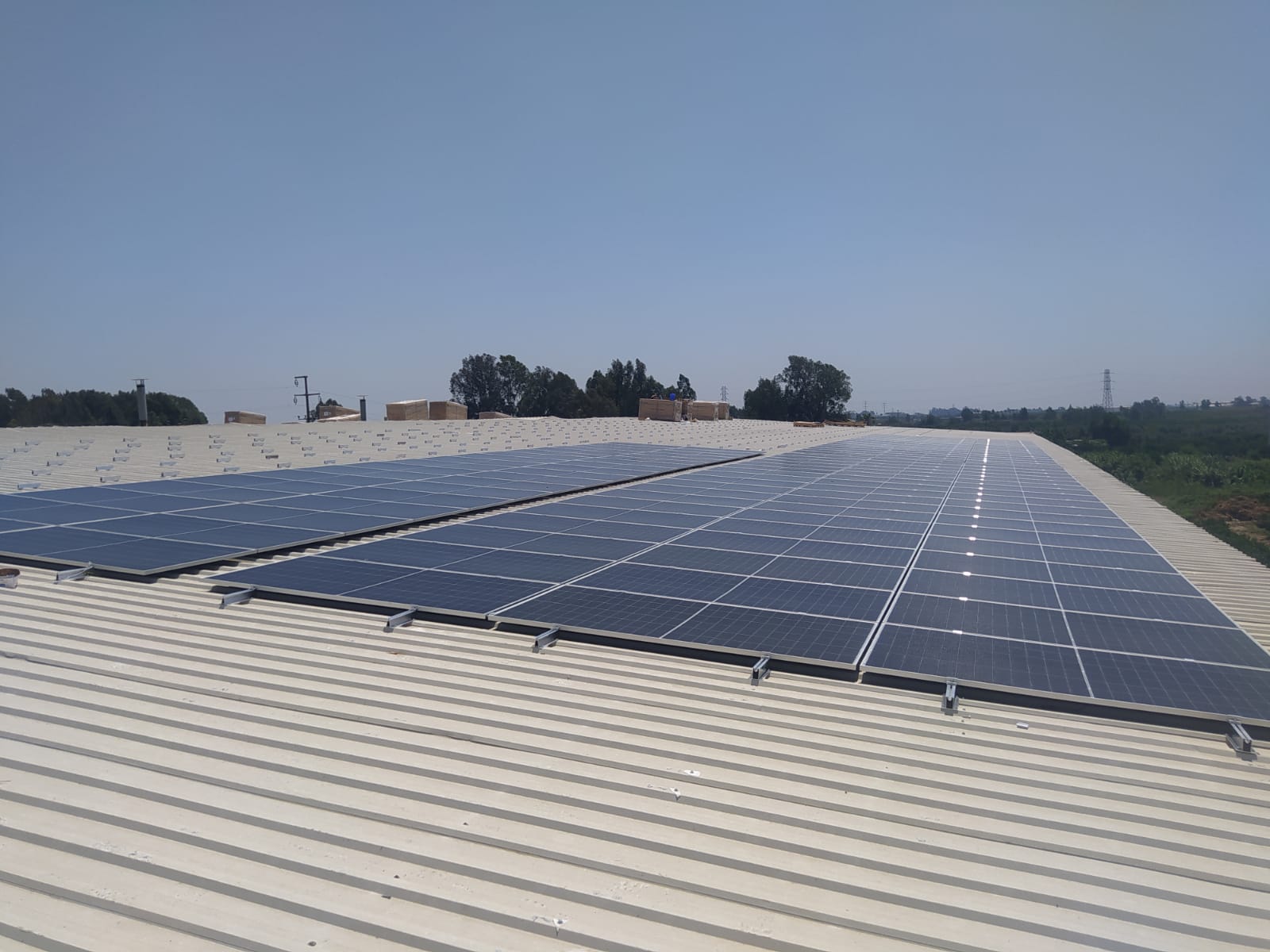 MERSİN KOL TARIM GÖRSEL - Görsel 1