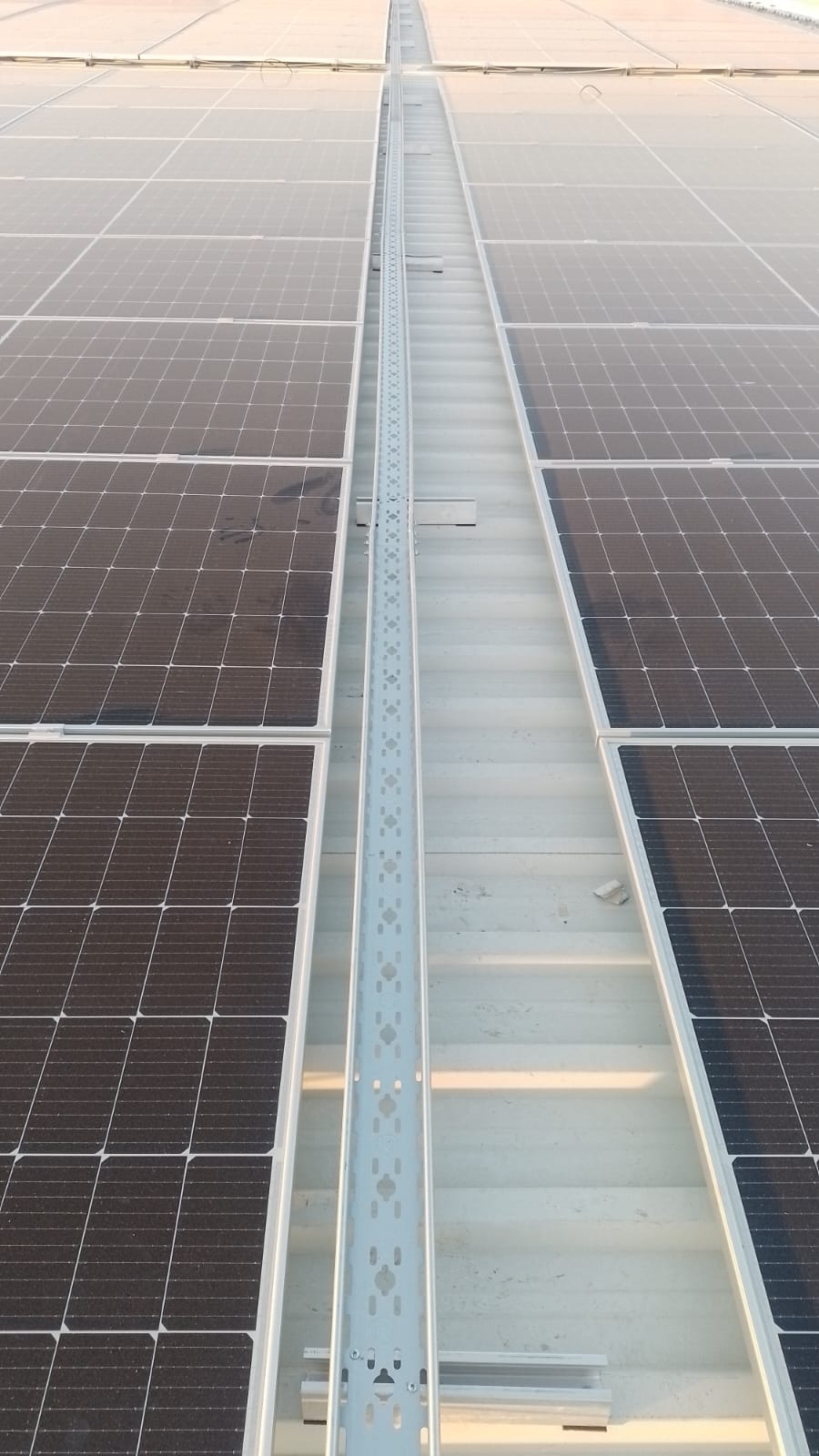 YUDUM FISTIK OSMANİYE 355 KWP - Görsel 2